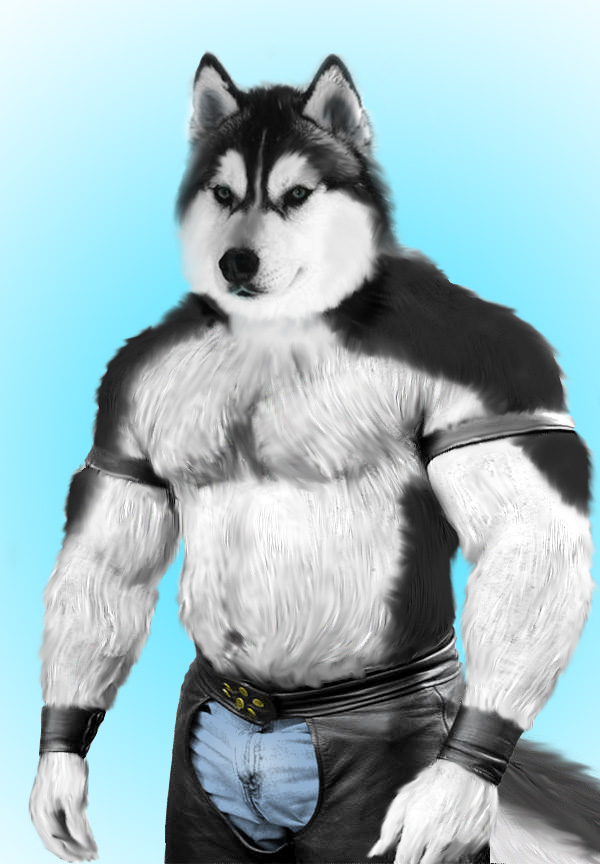 A husky in leather.
